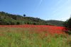 patrimoine provence