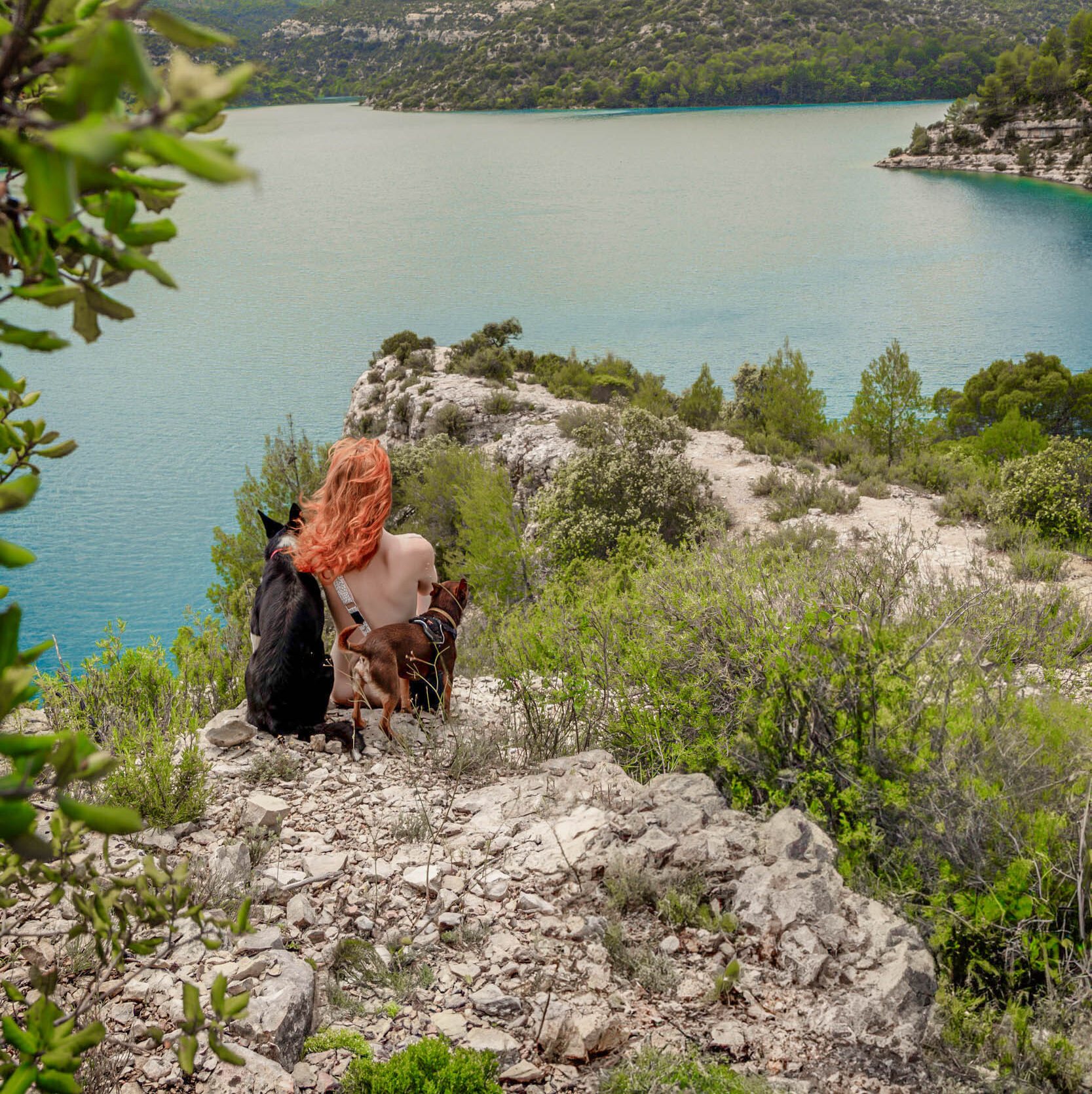 accueil chien camping verdon provence