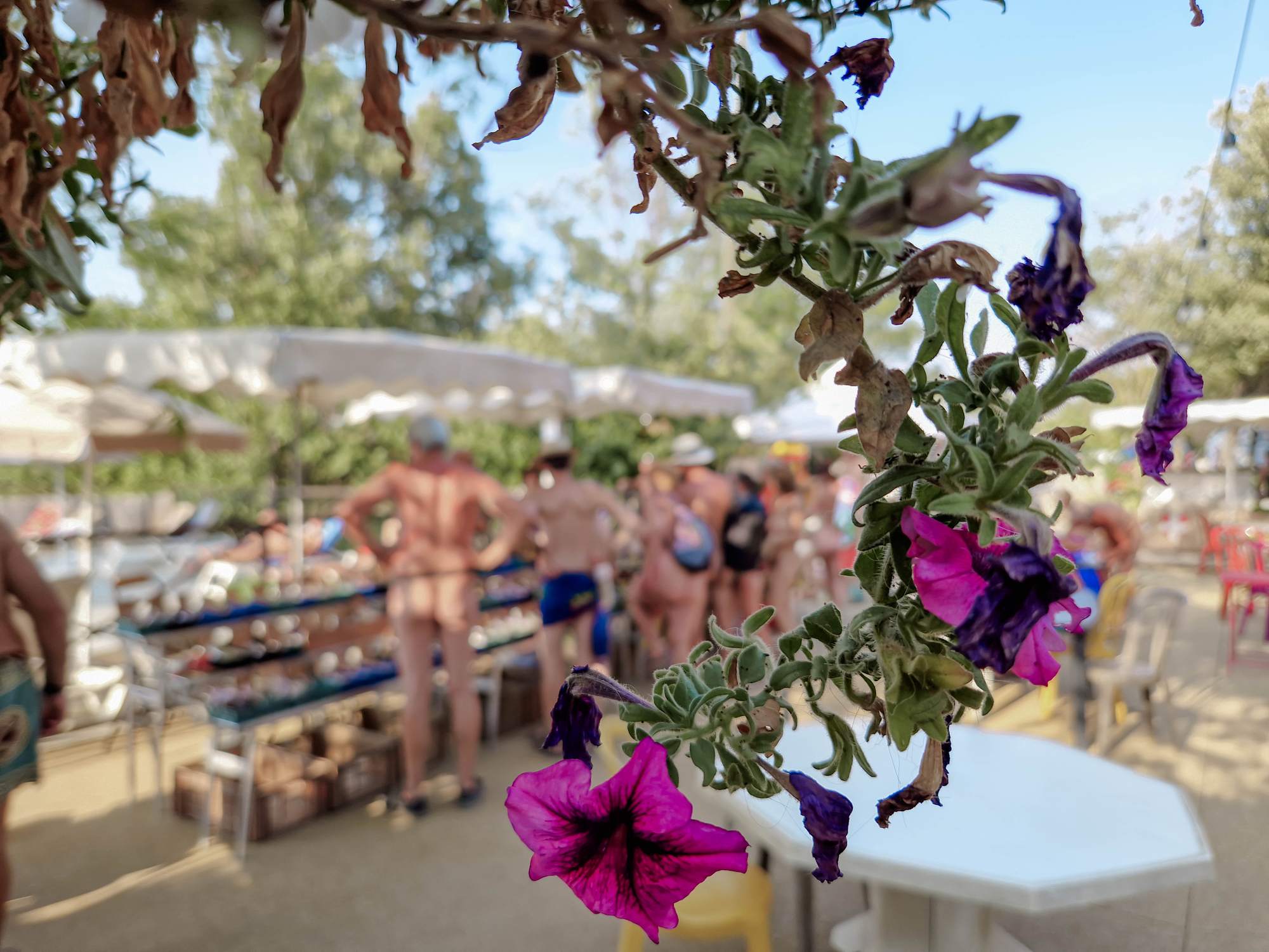 marché naturiste verdon